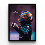 Fernando Alonso Victory