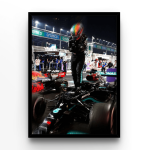 Lewis Hamilton Winner