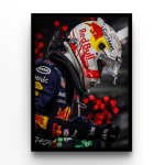 Max Verstappen Victory