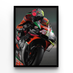 Aleix Espargaró Race