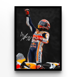 Marc Marquez Victory