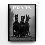 Prada Milano
