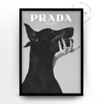 Prada Elegance